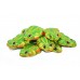 Green Tree Frog 2kg